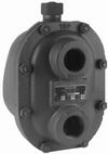 Nicholson Super Capacity Steam Trap